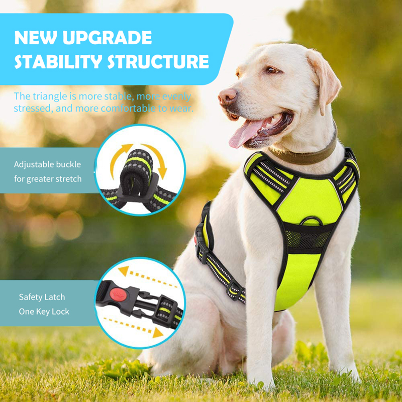 Luxury Pet Dog Accessories Products Supplie Dog Leash Training Harness Set (1)
