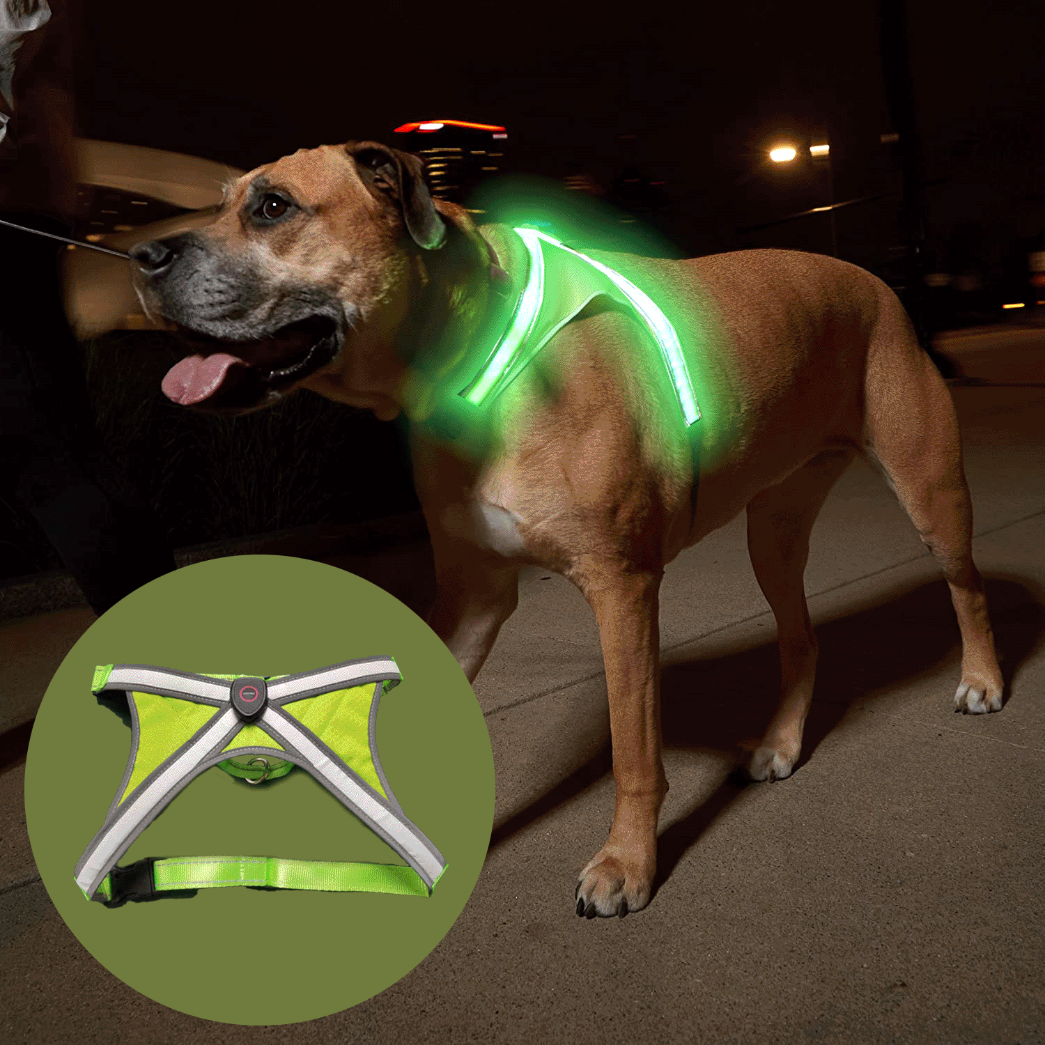 Safety Full Body Protection Duty LED Light Dog Harness (1)